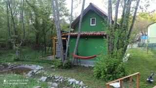 Green House - 6