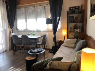 Charmant Duplex T3 avec Balcon - Halle Olympique - Albertville - 2