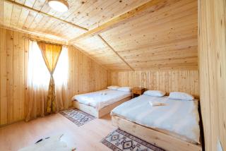 Cabana Codreanu - 1