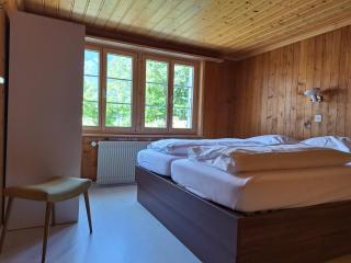Chalet Engi Apt 1 for up to 8 People - Grindelwald - 9