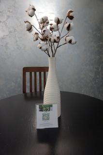 Alpin Resort Apartments Deluxe 2406 - 1