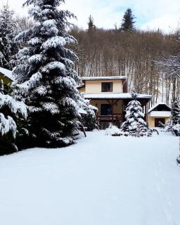 TreeHouse - Pădurea Neagră - 9