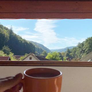 TreeHouse - Pădurea Neagră - 8