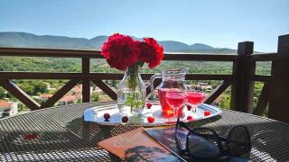 Philoxenia Hotel - Paranesti - 3
