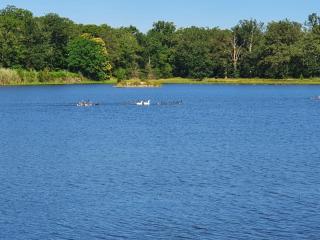 Domaine du Rothay - 9