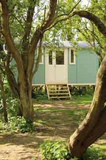 The Tawny Shepherd Hut, Whitehouse Farm - Stowmarket - 1