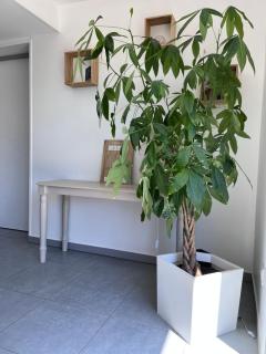 La tranquilité bleue - Maison avec Parking cloturé - Les Sables-d'Olonne - 4