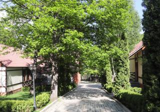 Splendor Resort and Restaurant - Tsaghkadzor - 7