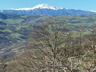 LaLo Holiday House - Marano sul Panaro - 9