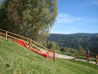 Apartmány Vydrýsek - Srní - 9