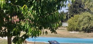 Le petit mas en provence avec piscine - Barbentane - 4