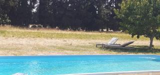 Le petit mas en provence avec piscine - Barbentane - 3