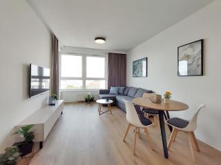 Modern apartment in ZASPA VVITA - Danzig - 1