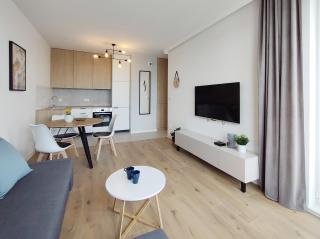 Modern apartment in ZASPA VVITA - Danzig - 2