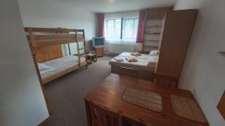 Apartmany U Ády - Železná Ruda - 7