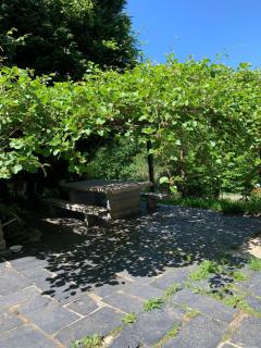 Finca in mitten der Natur. - Muras - 5
