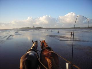 Residenz Jan am Strand - Cuxhaven - 8