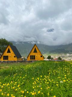Pine Chalet Kazbegi - Kasbegi - 0