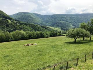 Maison chaleureuse à Vaucluse avec jardin spacieux 84 m² - - 7