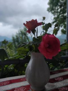 Anush`s B&B - 8