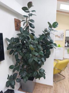 Ferienhaus in Bernau bei Berlin - 9