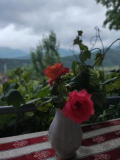 Anush`s B&B - 7