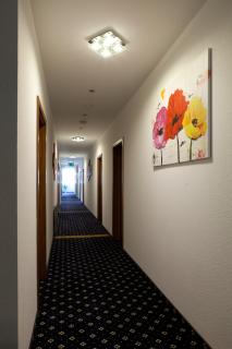 Hotel Deutscher Hof - Babenhausen - 1