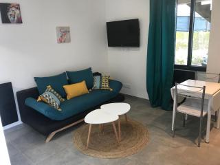 Superbe studio entièrement refait a neuf - Figeac - 8