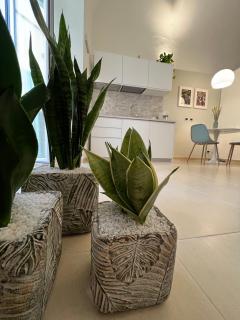 Com a Cas - Feel at home in the Old Town - Bari - 2