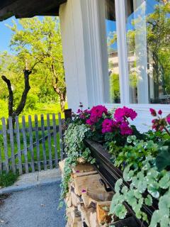 Ferienhaus Stille Nacht Wagrain - 5