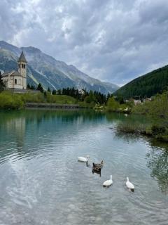 Hotel Bambi Am Park - Sulden - 8