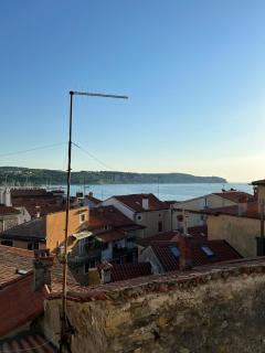 SML Apartments 1 - Izola - 9