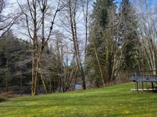 A Relaxing Getaway-A Backwoods Cabin SolDuc River - Beaver - 3