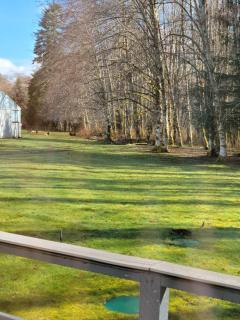 A Relaxing Getaway-A Backwoods Cabin SolDuc River - 1