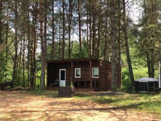 Forest cabin - Ozolaine - 1