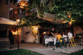 Laguna Green Guest House - Niš - 8