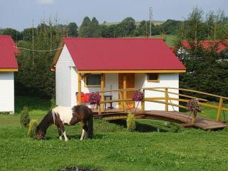 Domek Letniskowy 7 - Zawóz - 5