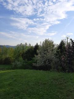 Dom Przy Lesie - Wisła - 2