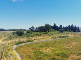 La Dolce Vita aux portes de Montpellier - Villeneuve-lès-Maguelonne - 1