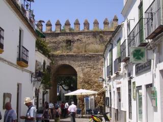 Corazón De Córdoba, la mejor ubicación - Cordoue - 1