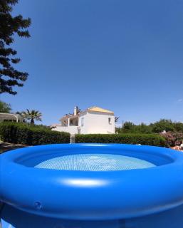 Olive Grove Soulis Family Estate - 1