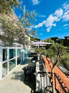 Villa Nemanja - Sveti Stefan - 8