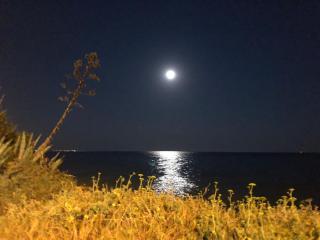 BALATA home - Marina di Ragusa - 9