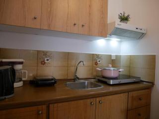 Chrysoula’s Welcoming Triple Room with Yard - 1