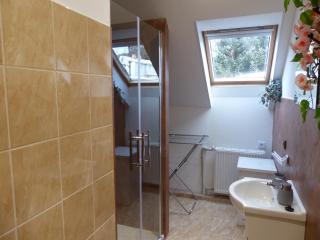 Apartmány Plischke - Lipova Lazne - 8