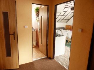 Apartmány Plischke - Lipova Lazne - 6