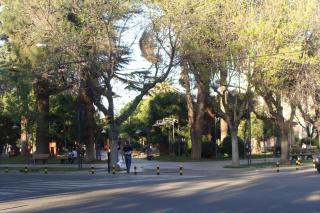 Intiaconcagua Habitacion familiar con baño privado - 3