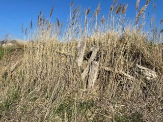 Ferienhaus geStRanDeT - 6