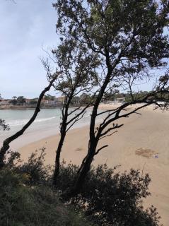 A l'abordage, appartement 2 pièces plage de Nauzan - Vaux-sur-Mer - 5