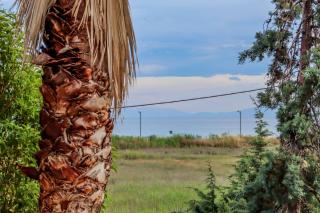 Calma Luxury Apartments #4 Sozopoli in Halkidiki - 5